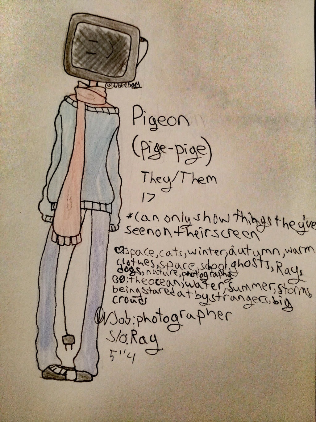 Object Head Oc: Pigeon