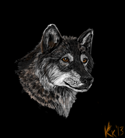 Wolf