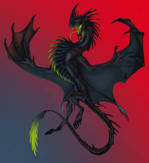 Dark Dragon