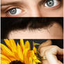 Elijah Wood - Details