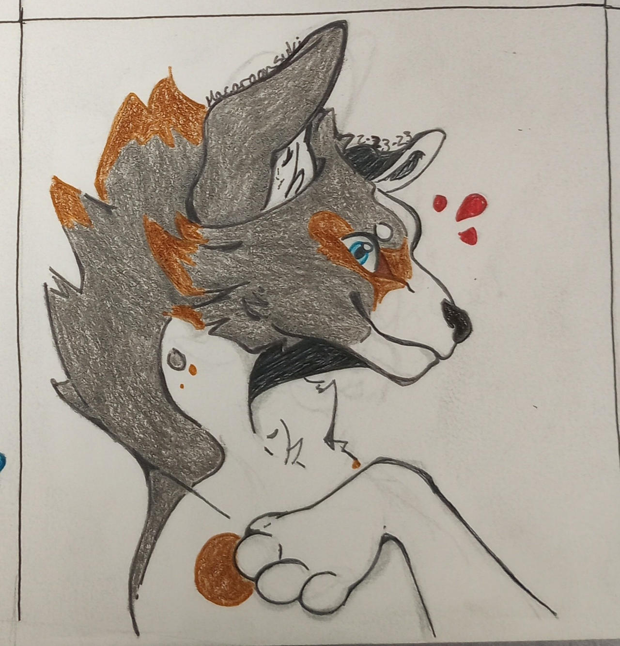 Aussie by Macar00nsuk1 on DeviantArt