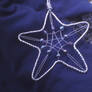 Winter Star 2