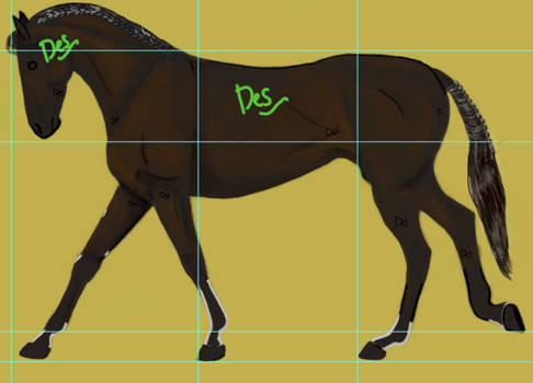 WIP...Appaloosa, underneath white