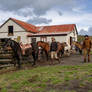 Getting ready for a day's ride