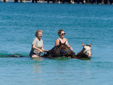 Cooling down at the beach