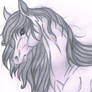 Horse Sketch III