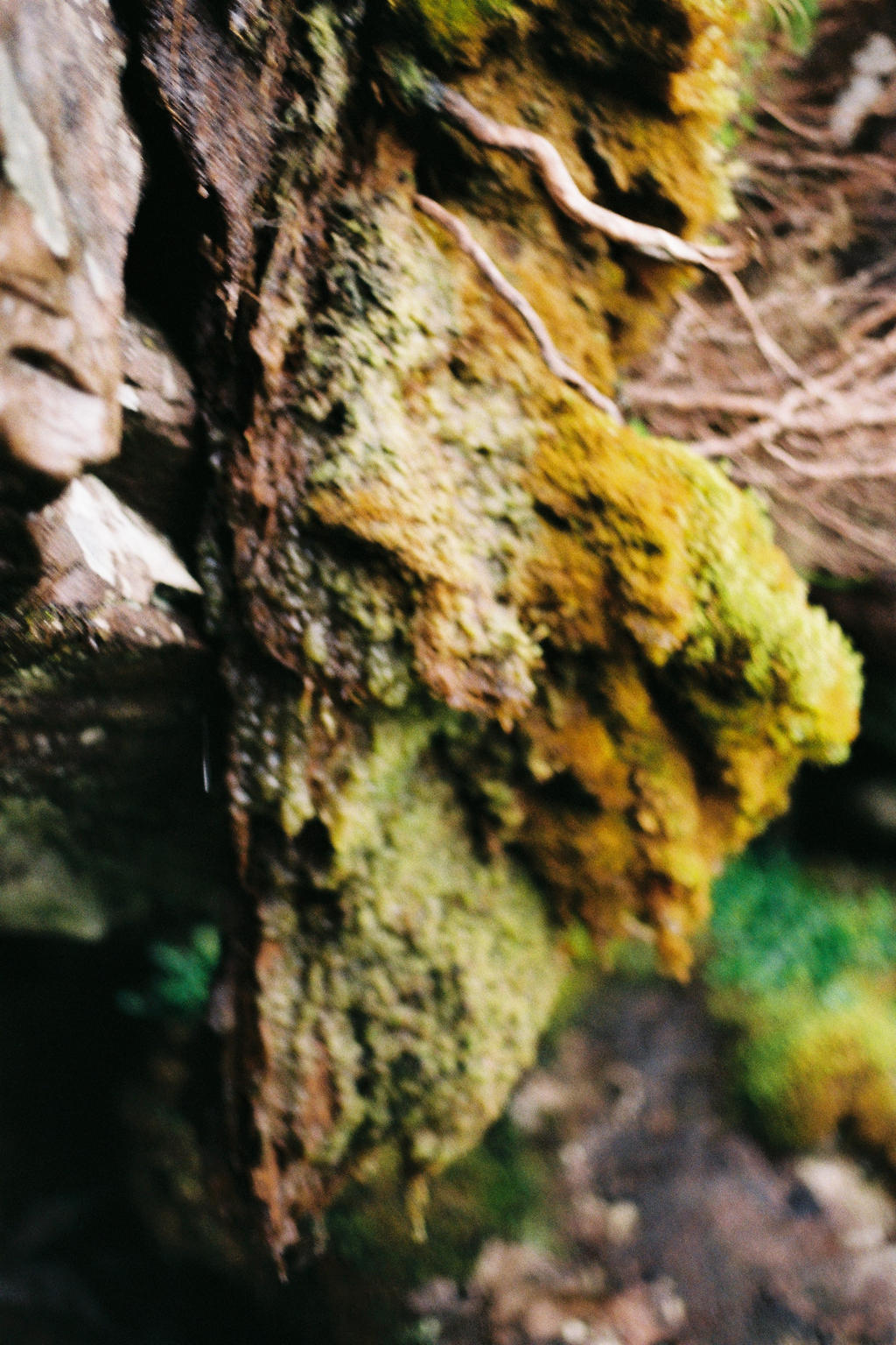 MOFF by Prolop on DeviantArt