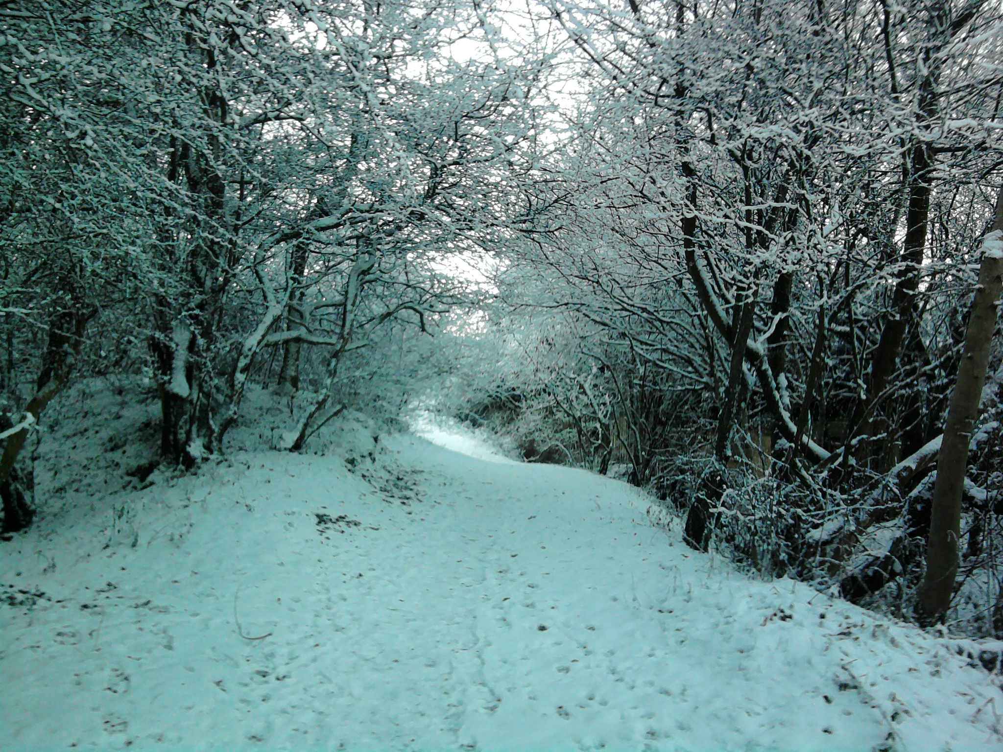 White Walkway