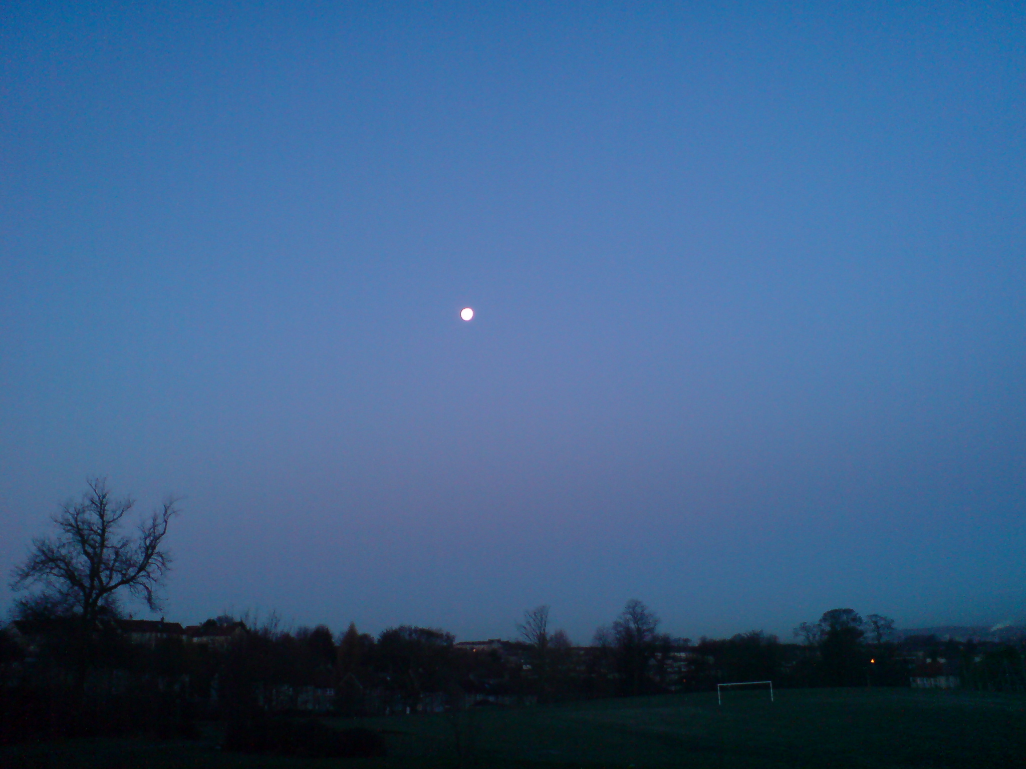 Moon of the Misty Morning