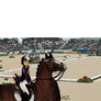 Valegro