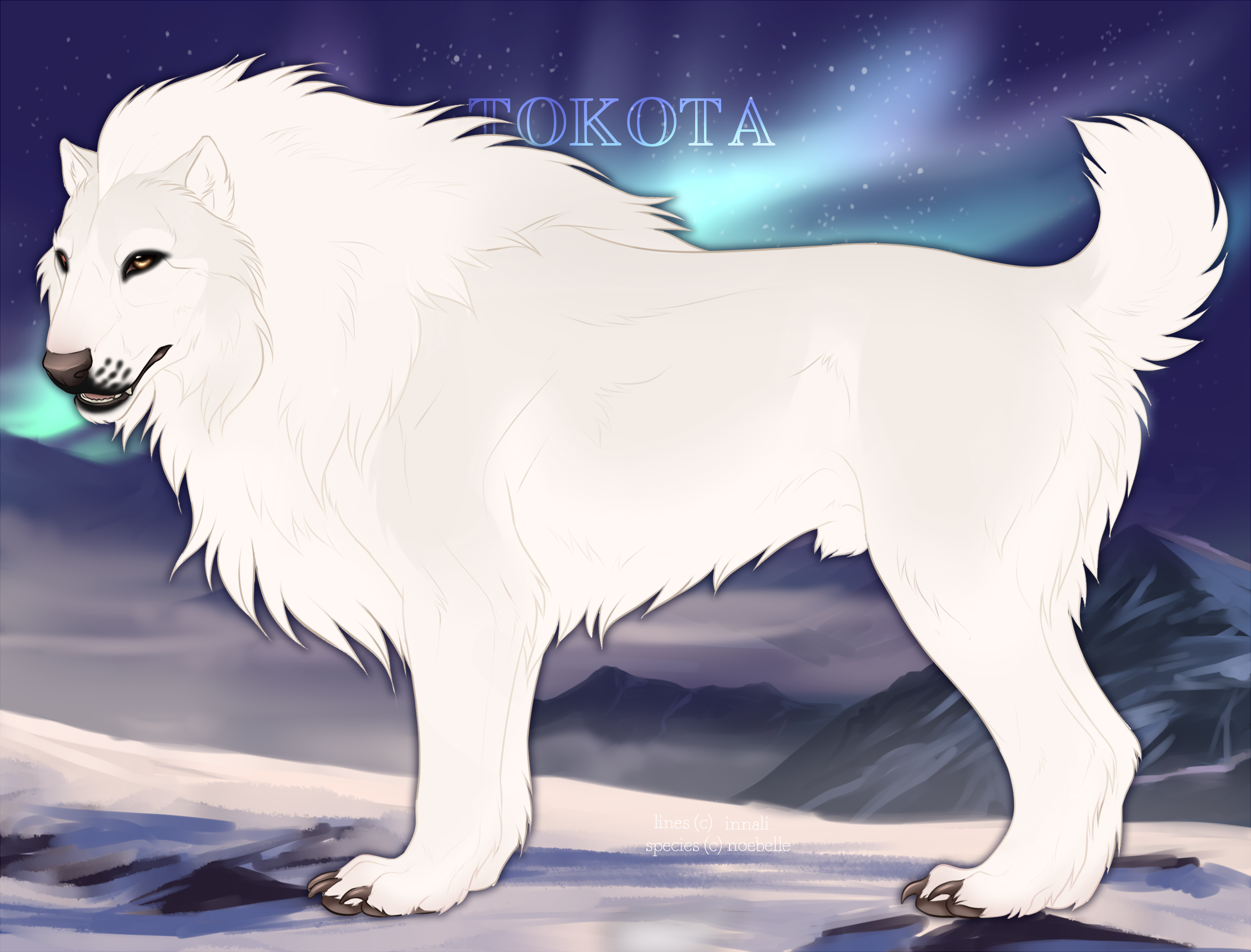 Pref Term Sheet RJ's Tracker by akllozz on DeviantArt