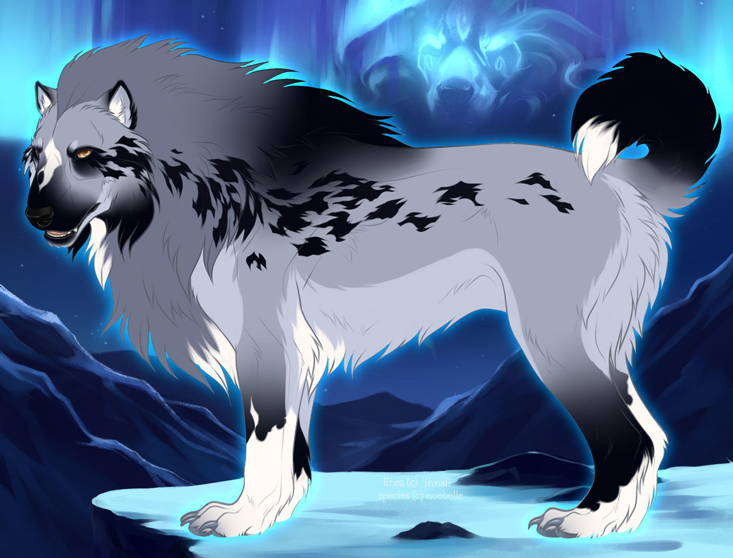 Pref Term Sheet Masquerade's Tracker by akllozz on DeviantArt