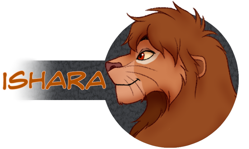 Mb The Hunter Became The Hunted By Akllozz On Deviantart Mb The Hunter Became The Hunted By Akllozz On Deviantart