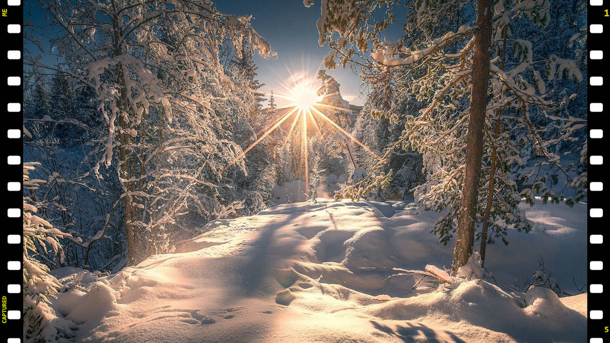 Впр на склоне зимы веселее становится февральский. Зимний пейзаж. Солнце зимой. Зима в лесу. Зима солнце снег.