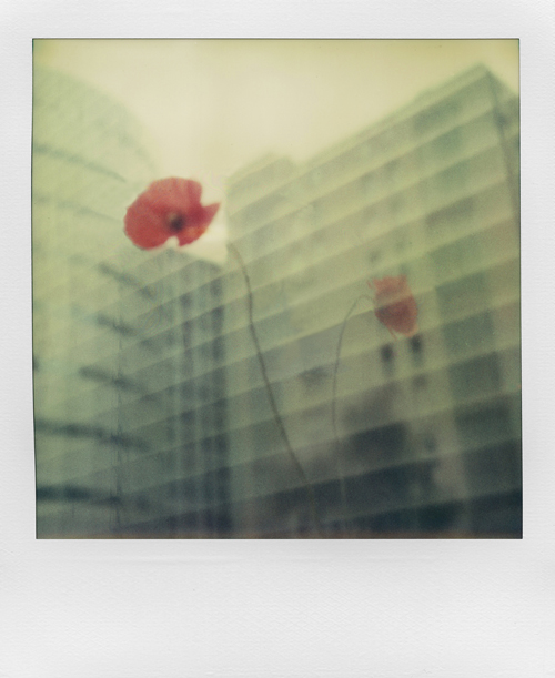 Ne Doute Jamais De Mon Amour By Mheuf On Deviantart Ne Doute Jamais De Mon Amour By Mheuf On Deviantart