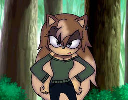 Yet Another Fake Sonic X Screenshot 