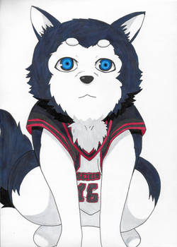 Nigou (Kuroko no basket)