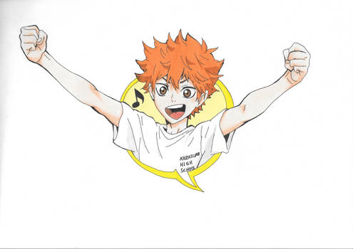 Hinata Shouyou (Haikyuu)