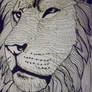 Lion Lines