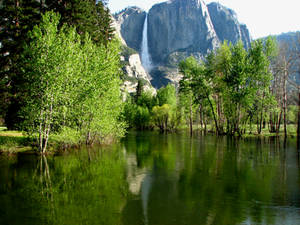 Yosemite Falls Feedback