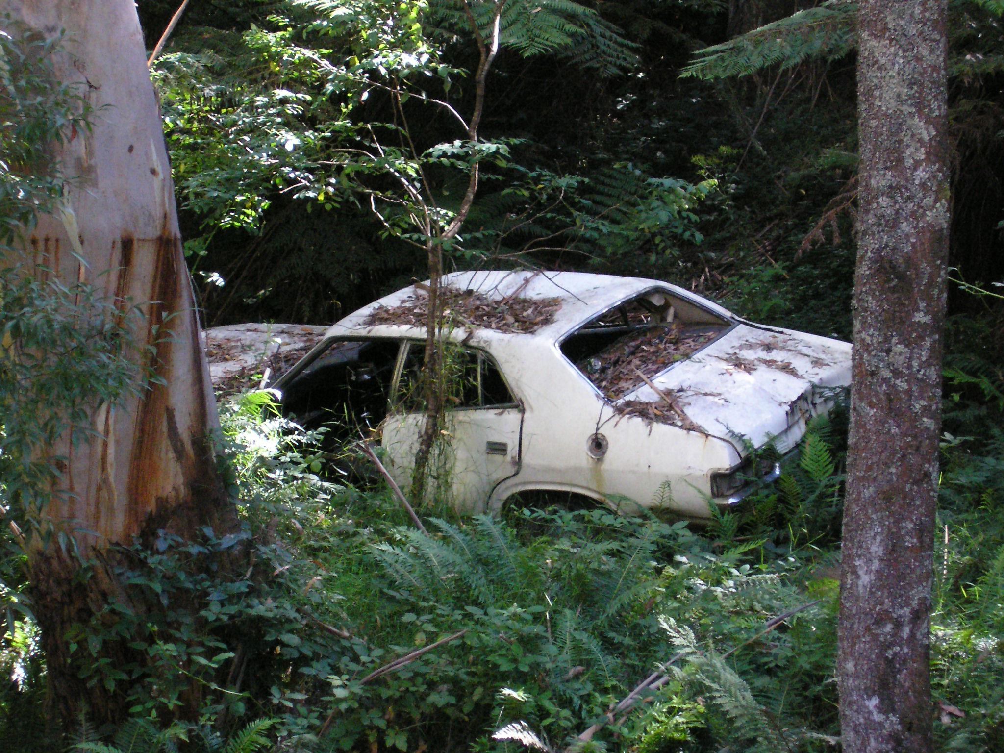 Abandoned Car 1