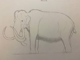 Woolly mammoth sketch