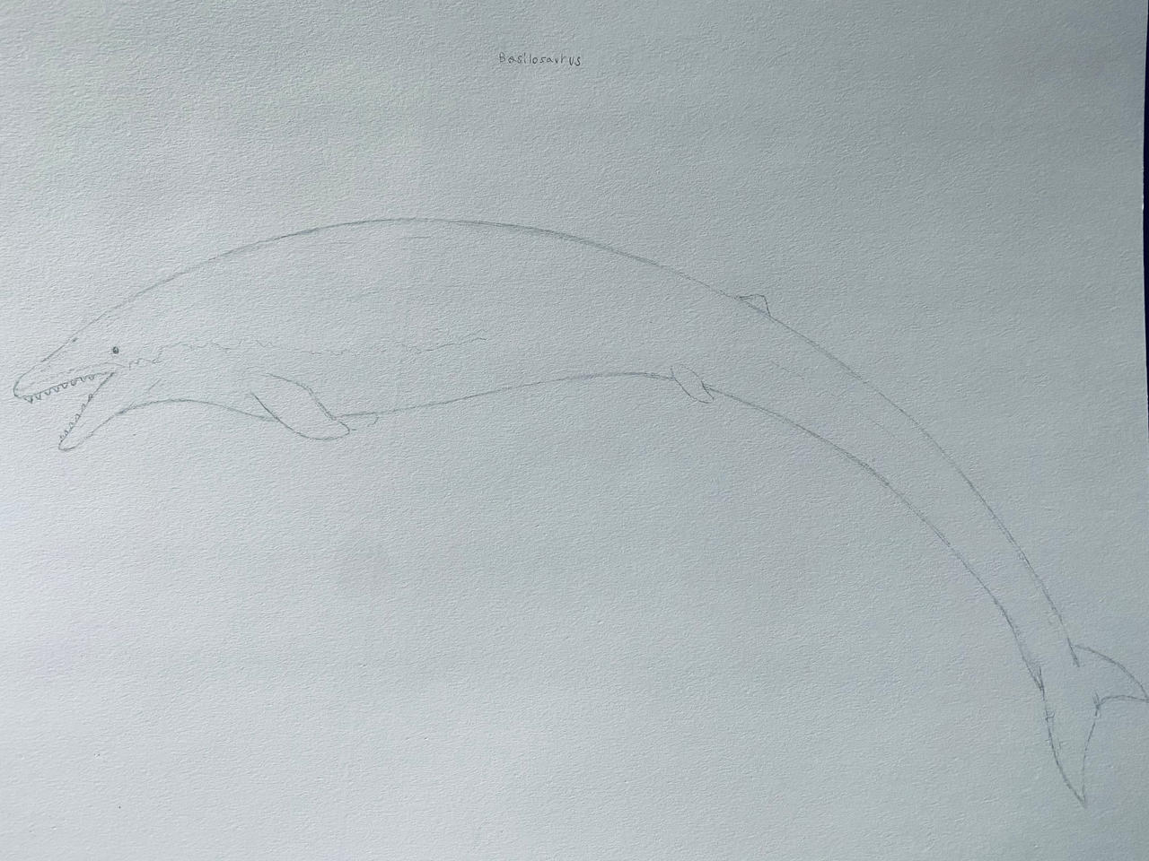 Basilosaurus Deviantart Basilosaurus by Buddyro181 on DeviantArt