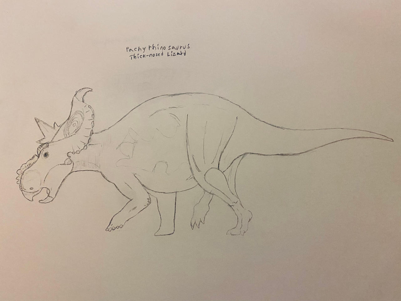 Day 13 Lin Deviantart Dinocember Day 13 by Buddyro181 on DeviantArt