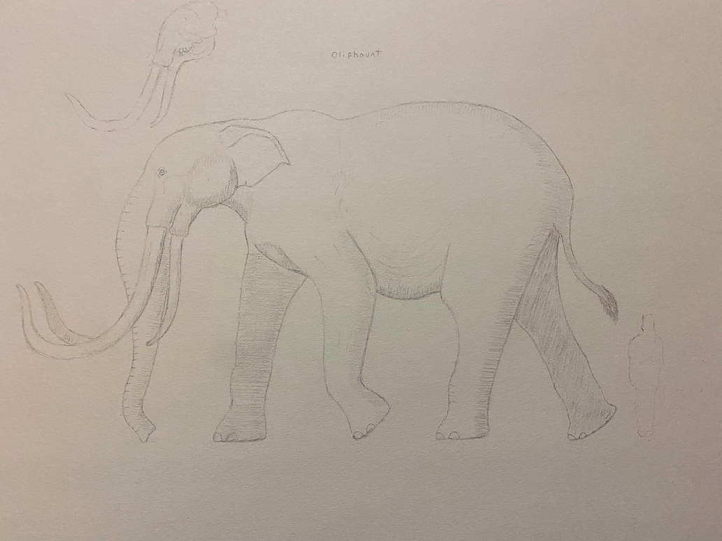 Oliphaunt by Buddyro181 on DeviantArt