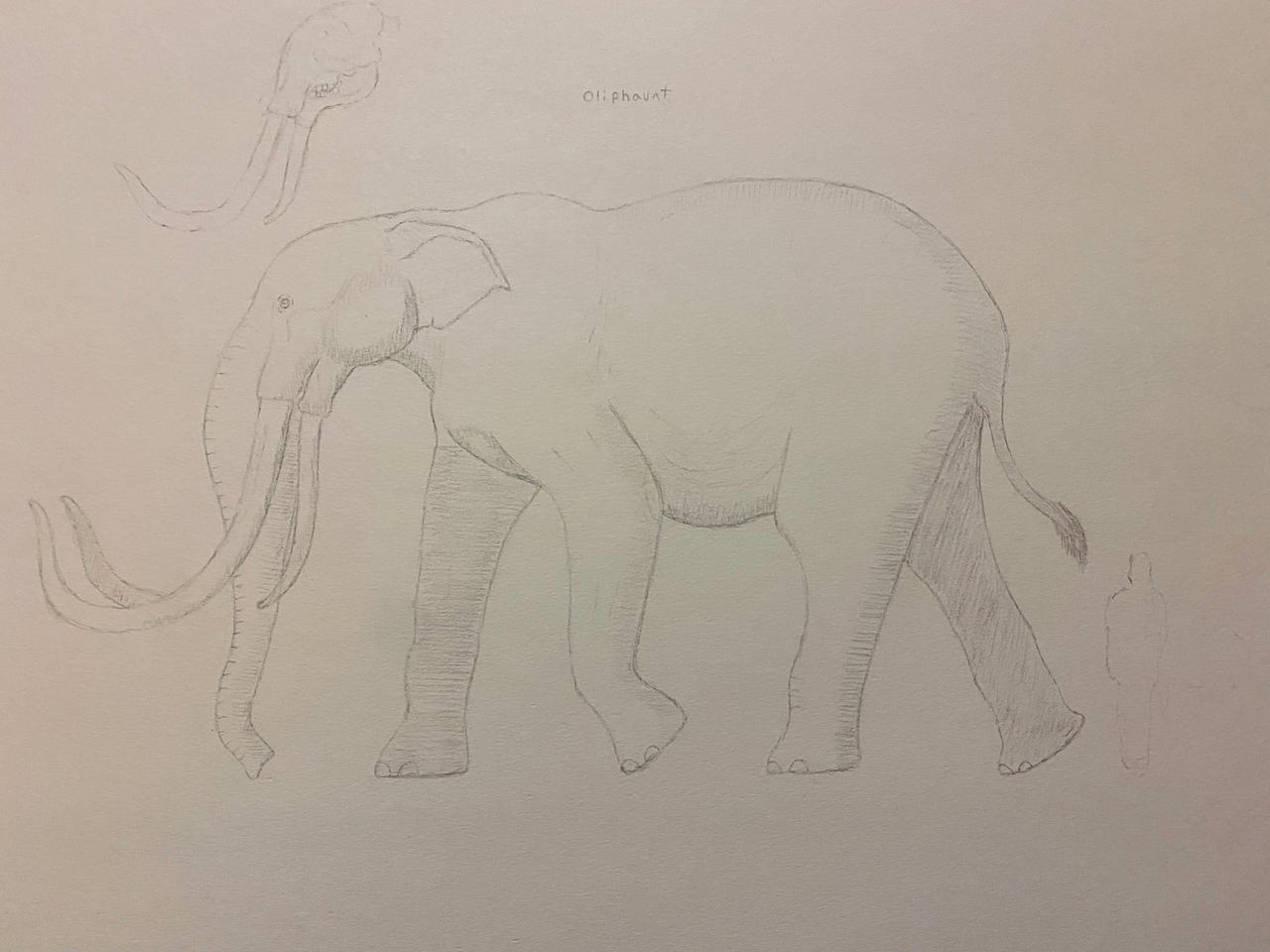 Oliphaunt by Buddyro181 on DeviantArt