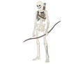 Skeleton archer