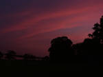 Rose Dusk by CorazondeDios
