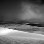 Ansel and rain at White Sands