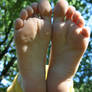 Lady of Soles 2