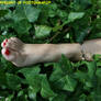 Ecological Feet 4