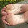 Unforgetable Soles 2