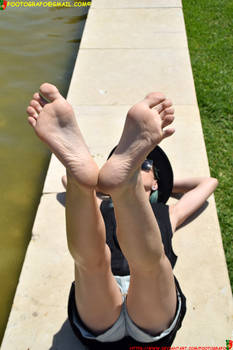 Reaching For The Sunlight