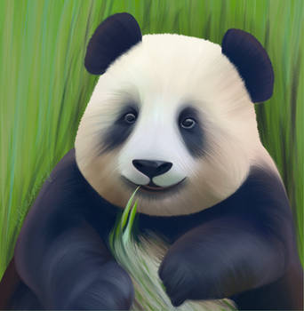 Panda Practice