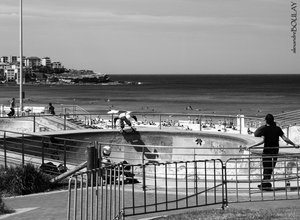 lords of dogtown, bondi