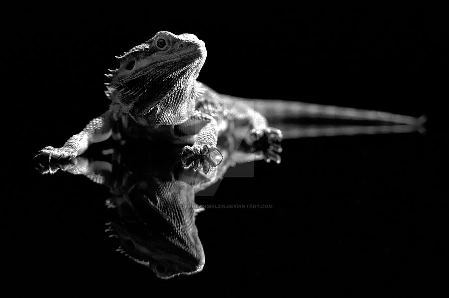 Comin' Atcha by DrummerGirl375 on DeviantArt