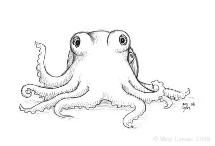 Friendly Octopus