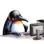 Computer Penguin