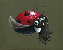 Ladybug Squid