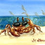 Joe Cool Crab