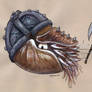 Dwarven Nautilus