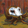 Barn Owl Octopus