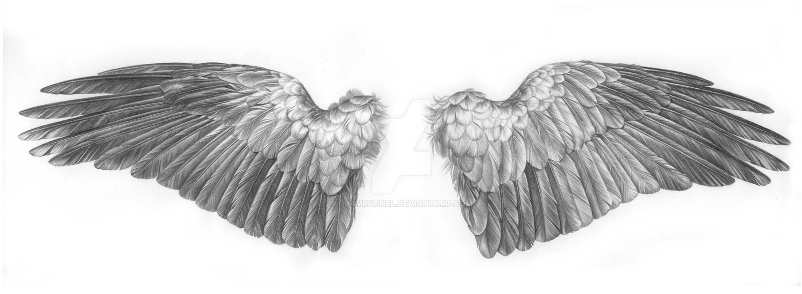 crow wings by glamrodhel on DeviantArt