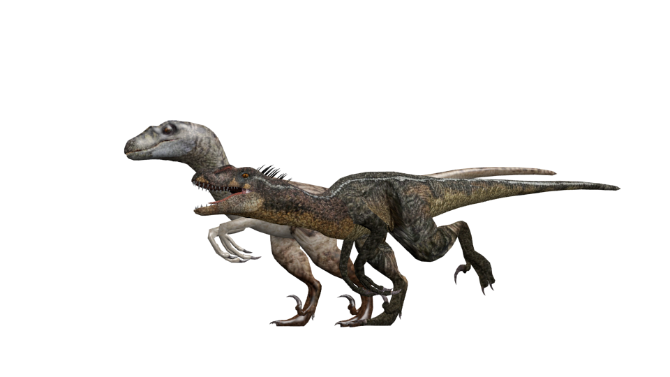 Velociraptor Sornaensis Remake by GorgonGorgosaurus on DeviantArt