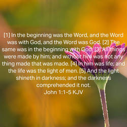 John 1:1-5 KJV