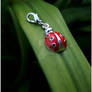 This Ladybird Has Charm